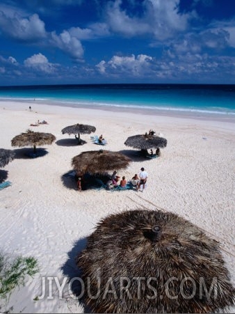 View of Famous Pink Sand Beach, Eleuthera, Pink Sands Beach, Harbour Island, Bahamas