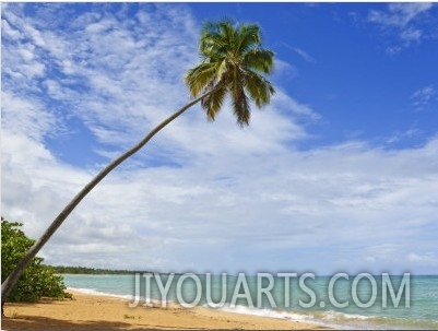 Tres Palmitas Beach, Puerto Rico, West Indies, Caribbean, Central America