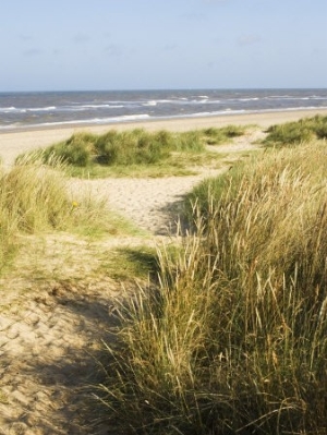 Beach, Southwold, Suffolk, England, United Kingdom