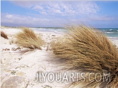 Bales Beach, Seal Bay Con. Park, Kangaroo Island, South Australia, Australia