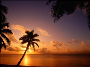 Coconut Palms on Aitutaki Lagoon, Aitutaki, Southern Group, Cook Islands