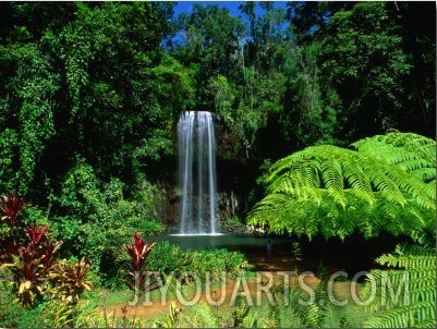 Millaa Millaa Falls, Atherton Tablelands, Australia