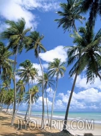 Cabo De Sao Roque, Natal, Rio Grande Do Norte State, Brazil, South America