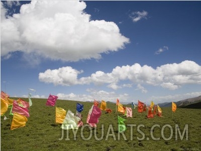 Tibetan Prayer Flags in a Field, Qinghai, China