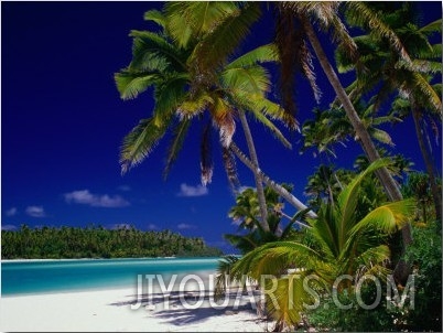 Beach with Palm Trees on Island in Aitutaki Lagoon,Aitutaki,Southern Group, Cook Islands