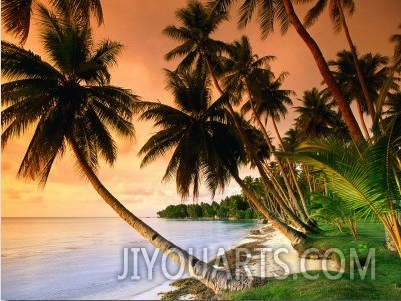 Blue Lagoon Resort Beach, Weno Centre, Micronesia