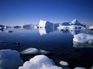 Ice Scenery and Seal, Antarctica, Polar Regions