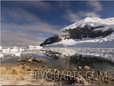 Neko Harbor, Gerlache Strait, Antarctic Peninsula, Antarctica, Polar Regions