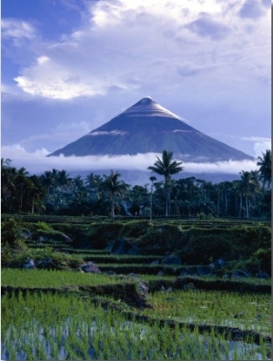 Mt. Mayon, One of the Most Dangerous Volcanoes in the World, Above Rice Paddys, Albay, Philippines