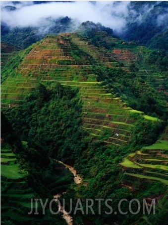 Rice Terraces Around Banaue, Banaue, Philippines