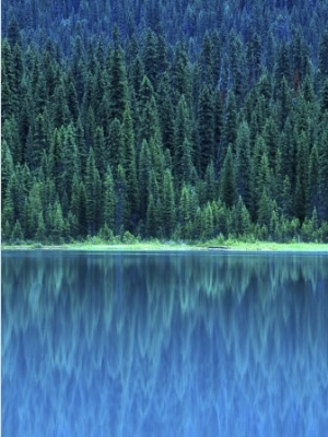 Emerald Lake Boathouse, Yoho National Park, British Columbia, Canada