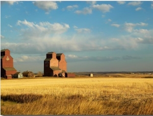 Grain Elevators Stand in a Prairie Ghost Town, Rowley, Alberta, Canada