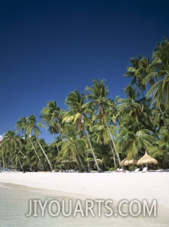 Boracay Beach, Palm Trees and Sand, Boracay Island, Philippines