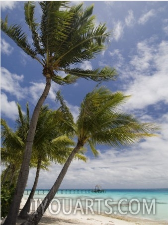 Fakarawa, Tuamotu Archipelago, French Polynesia Islands