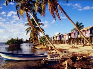 Holiday Accomodation Overlooking Palms and Mangroves, Belize