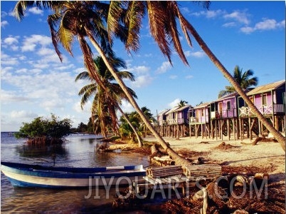 Holiday Accomodation Overlooking Palms and Mangroves, Belize