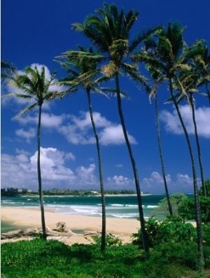 Lydgate Park, Wailua, Kauai, Hawaii, USA