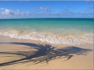 Palm Tree Shadow on Beach, Lani Kai, HI