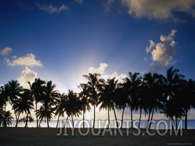 Sun Setting Behind Palm Tree Lined Shore of West Coast, Cook Islands