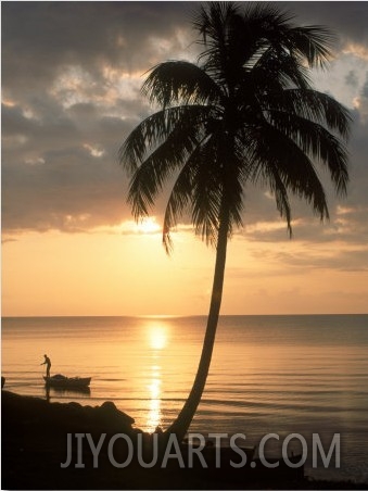 Sunrise with Man in Boat and Palm Tree, Belize