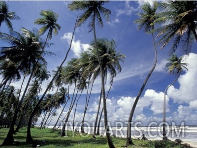 View of Manzanilla Bay, Port of Spain, Trinidad, Caribbean