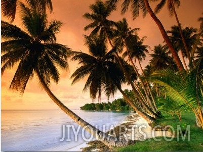 Blue Lagoon Resort Beach, Weno Centre, Micronesia