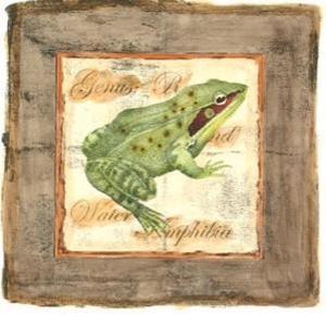 Ancient Amphibians I