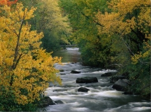 Autumn Colours on the Banks of the Rue River, Quebec, Canada