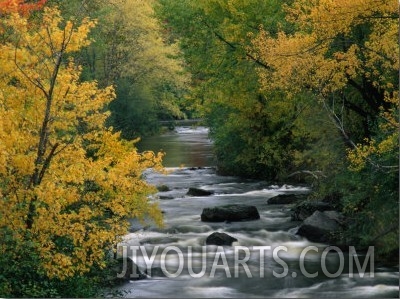 Autumn Colours on the Banks of the Rue River, Quebec, Canada