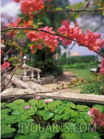 Tropical Blossoms at the Coral Reef Club Entrance, Barbados