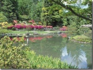 Japanese Garden, WAshington Park Arboretum, WA