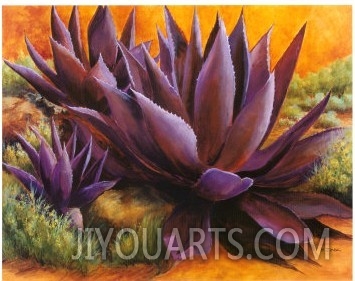 Purple Agaves on the Rocks