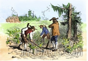 Settlers Planting Crops in South Carolina During Colonial Days