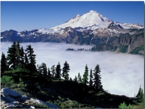 View of Mount Baker from Artist