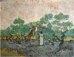 Women Picking Olives