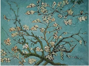 Branches of an Almond Tree in Blossom