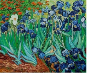 Irises II