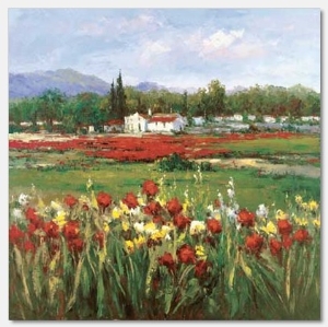 Red Flower Field