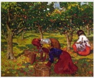 The Orange Harvest