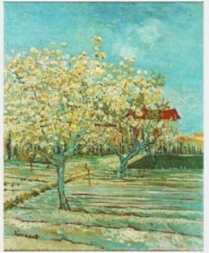 Orchard In Blossom II