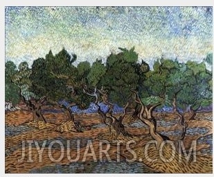 Olive Grove III