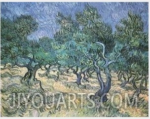 Olive Grove II