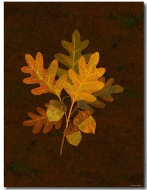 Autumn Leaves I