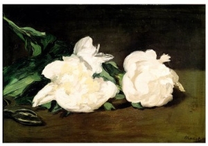 Branch of White Peonies and Secateurs, 1864