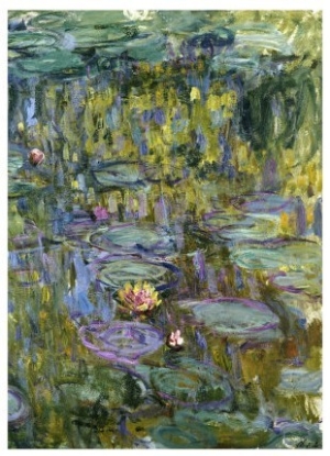 Water Lilies, Nympheas