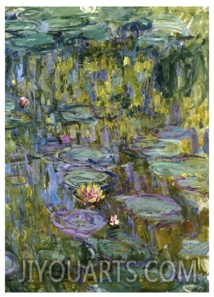 Water Lilies, Nympheas